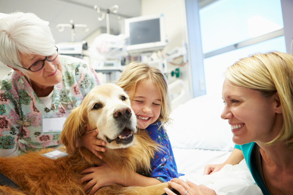 Pet Therapy, Animal-Assisted Therapy, Types of Therapy, Assisted Animal Activity, HealthandWellness.com