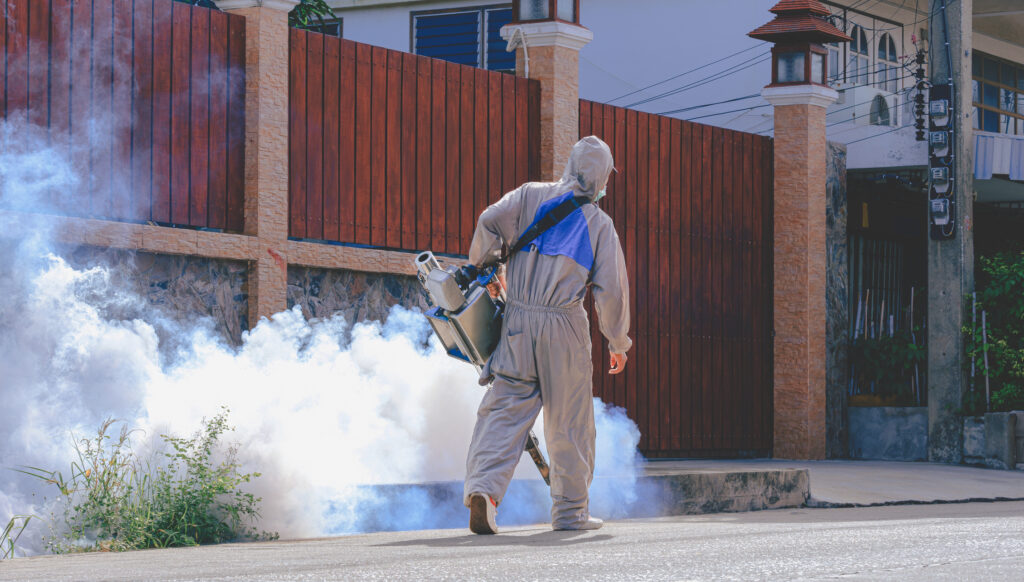 chinkungunya virus, China, healthandwellness.com, mosquitoes and chinkungunya virus